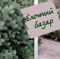 Елочный базар: где будут продавать новогодние елки - Bugulma.ws