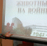 Отчет о проведении интерактива «Животные на войне» - Bugulma.ws