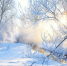 Февраль секреты свои прячет... - Бугульминская газета