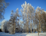 Конец февраля