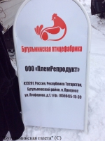 В Бугульме стартовал сезон сельскохозяйственных ярмарок ФОТО часть 2