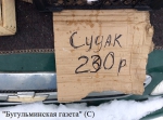 В Бугульме стартовал сезон сельскохозяйственных ярмарок ФОТО часть 2