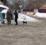 Попавших в трудную жизненную ситуацию бугульминцев накормили горячей кашей и блинами - Бугульминская газета