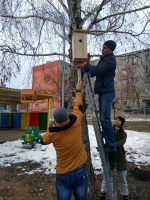 Бугульма станет еще зеленее