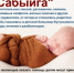 Бугульминский мухтасибат объявляет акцию "Сабыйга" - Бугульминская газета