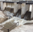 Бугульминский водоём проснулся - Бугульминская газета