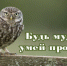 БУДЬ СОСРЕДОТОЧЕН,  МУДР И ПОЗИТИВЕН - Бугульминская газета