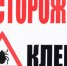 Начался сезон активности клещей - Bugulma.ws