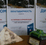 Бугульминцы вспомнили о событиях 1943 года - Бугульминская газета