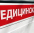 Десятилетняя девочка отравилась «волчьими ягодами» - Бугульминская газета