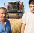 Жатва хлебов набирает силы - Бугульминская газета