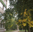 Погода в Бугульме на 21 сентября - Бугульминская газета
