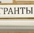 Бугульминцы – в числе грантополучателей - Bugulma.ws