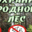 Берегите природу !!! - Bugulma.ws