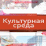 9 июня – культурная среда города. - Bugulma.ws
