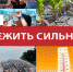 Минздрав Татарстана напомнил о правилах поведения в жару. - Bugulma.ws