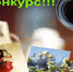Фотоконкурс «Русская цивилизация». - Bugulma.ws