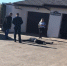 В Бугульме сегодня утром произошло нападение на дом хозяина магазина - Bugulma.ws