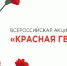 В Бугульме подвели итоги всероссийской акции «Красная гвоздика». - Bugulma.ws