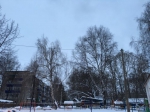 Прогноз погоды для бугульминцев на 15 января