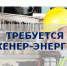 Работа в Бугульме: актуальные вакансии недели - Бугульминский район