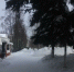 Погода в Бугульме 16 февраля - Бугульминская газета