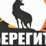 Татарстан завершил подготовку к пожароопасному сезону в лесах - Бугульминская газета