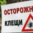 В Бугульминском районе начался сезон активности клещей - Бугульминская газета