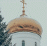 Фотогалерея - Бугульминская газета
