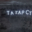 В Казани поддержали флешмоб команды "КАМАЗ-мастер" - Бугульминская газета