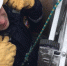 В Альметьевском районе погиб упавший в колодец мужчина - Бугульминская газета