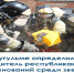 В Бугульме определился победитель республиканских соревнований среди звеньев газодымозащитной службы среди подразделений ФПС. - Bugulma.ws
