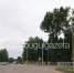Погода в Бугульме 11 июня, в пятницу - Бугульминская газета