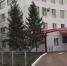 Недельные итоги заболеваемости бугульминцами ОРВИ, СОVID-19, внебольничными пневмониями - Бугульминская газета