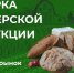 В Казани пройдет Ярмарка фермерских продуктов в рамках проекта «Туган як» - Бугульминская газета