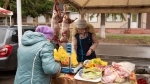 В Бугульме прошла праздничная сельскохозяйственная ярмарка