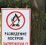 В Бугульме и районе объявлен особый противопожарный режим - Бугульминская газета