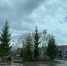Погода в Бугульме 21 апреля - Бугульминская газета
