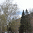 Погода в Бугульме на воскресенье, 1 мая - Бугульминская газета