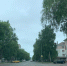 Погода в Бугульме на вторник, 5 июля - Бугульминская газета