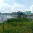 Водолазы нашли тело девушки-подростка, утонувшую на озере в Альметьевске - Бугульминская газета