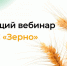 Завтра состоится обучающий вебинар по ФГИС «Зерно» - Бугульминская газета