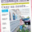 Спил деревьев и сухостой вызывают у бугульминцев вопросы - Бугульминская газета