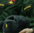 Участвующие в СВО военные пенсионеры будут получать компенсацию пенсий - Бугульминская газета