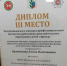 Бугульминка Алина Арзамасова признана лучшим методистом в республиканском конкурсе профмастерства - Бугульминская газета