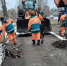 6 апреля в Бугульме проведут первый общегородской субботник - Бугульминская газета