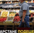 За неделю в Татарстане подешевели яйца, огурцы и помидоры - Bugulma.ws
