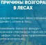 Минлесхоз Татарстана назвал три причины возгораний в лесах - Bugulma.ws