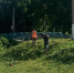 На городских улицах организована работа по покосу травы - Бугульминский район