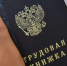 Минтруд готов предложить каждому безработному татарстанцу до 17 вакансий - Bugulma.ws